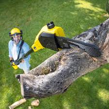 Elmwood Park, NJ Tree Services Company