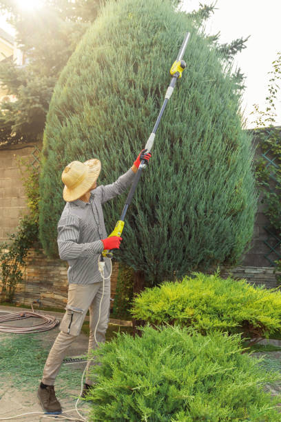 Best Utility Line Clearance  in Elmwood Park, NJ